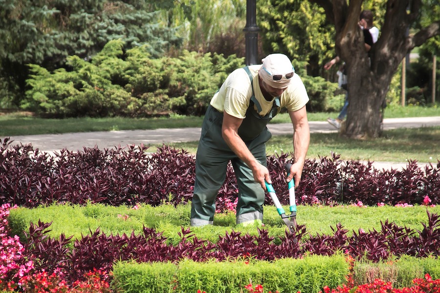 Why you Should Hire a Gardener for your Property business